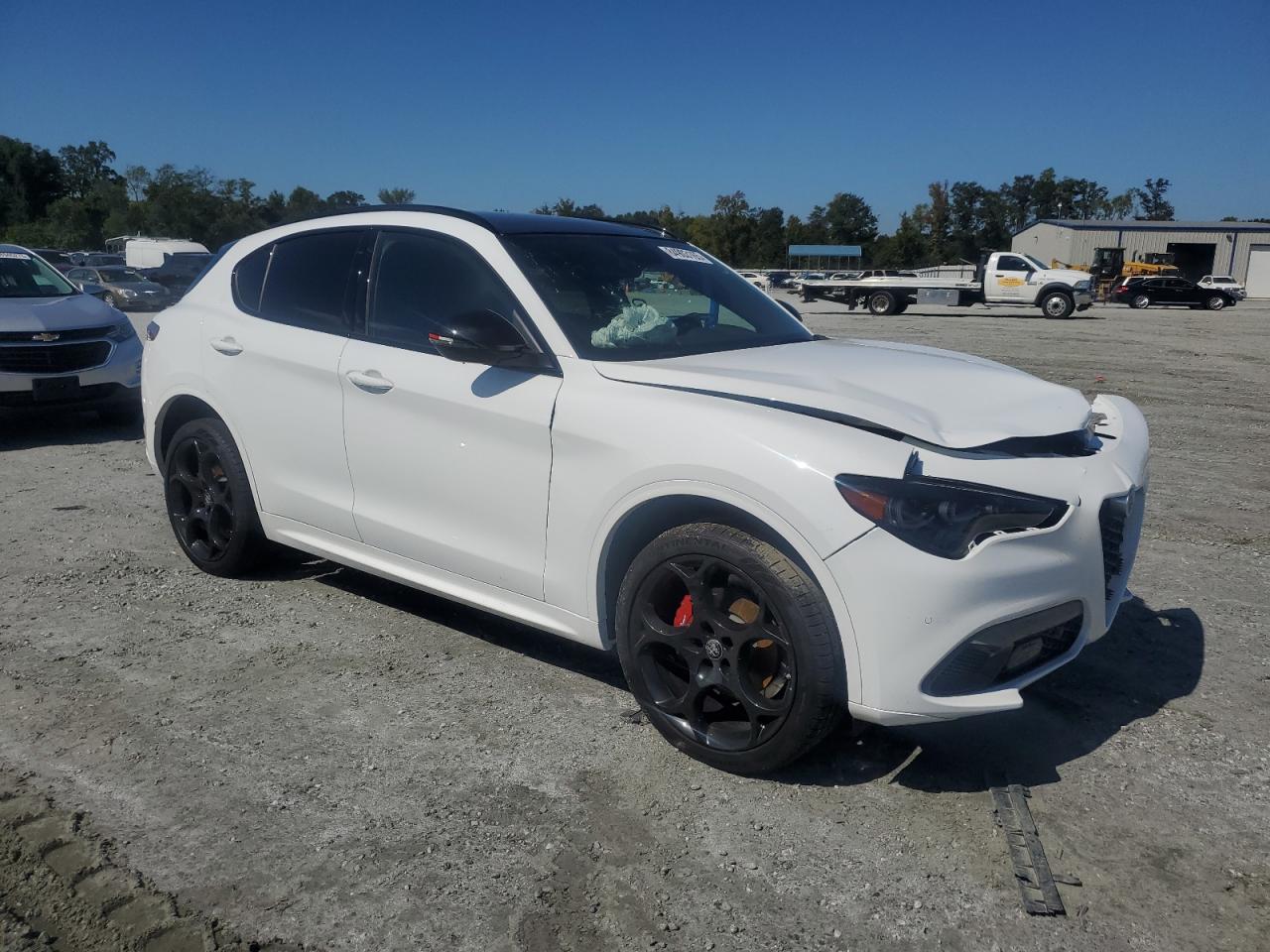 ALFA ROMEO STELVIO TRIBUTO ITALIANO