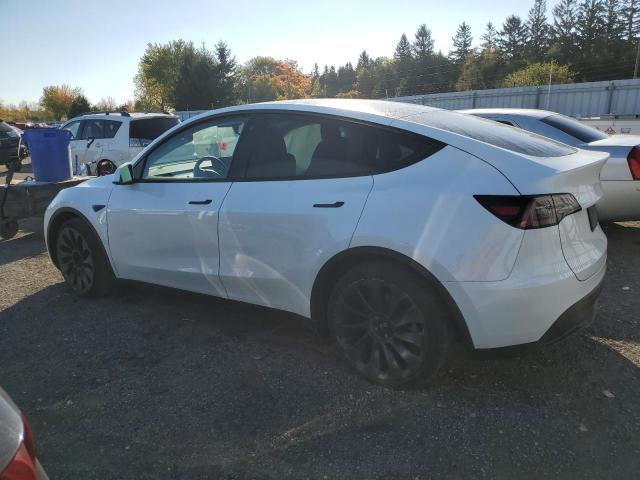 2023 TESLA MODEL Y - LRWYGDFD2PC967392