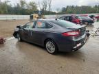 Lot #3304011673 2016 FORD FUSION TIT