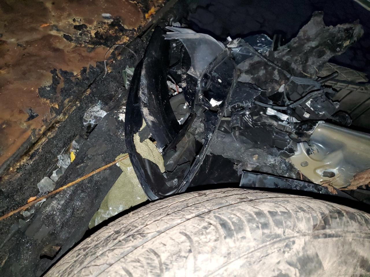 Lot #3312424632 2024 TESLA MODEL Y