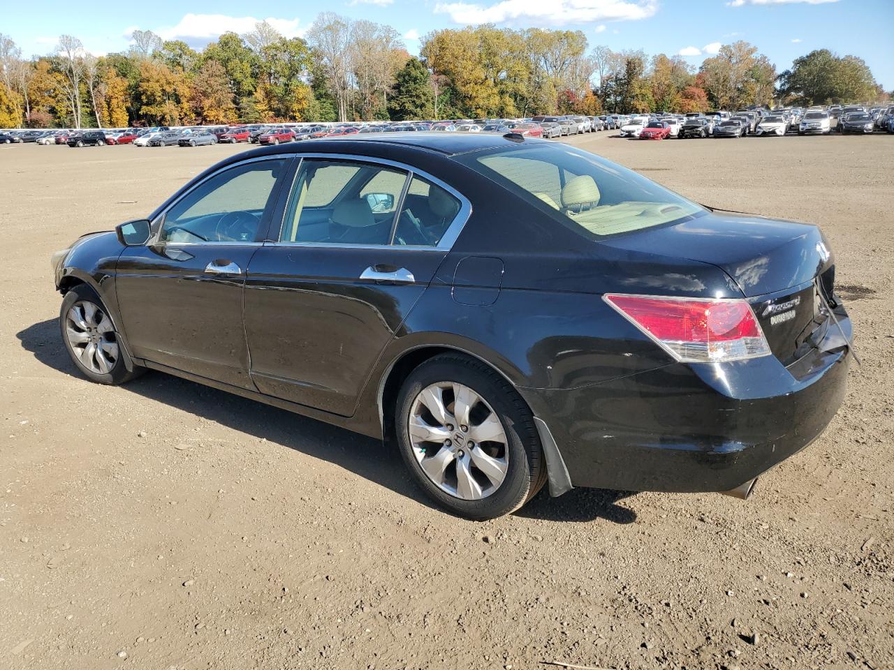 HONDA ACCORD EXL