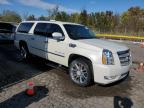 Lot #3302674028 2014 CADILLAC ESCALADE E