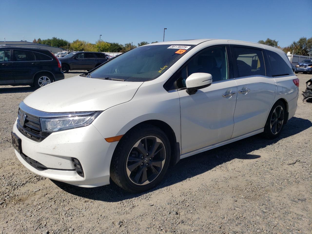 HONDA ODYSSEY ELITE