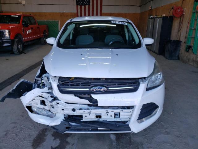 2014 FORD ESCAPE SE - 1FMCU0GX3EUE52363