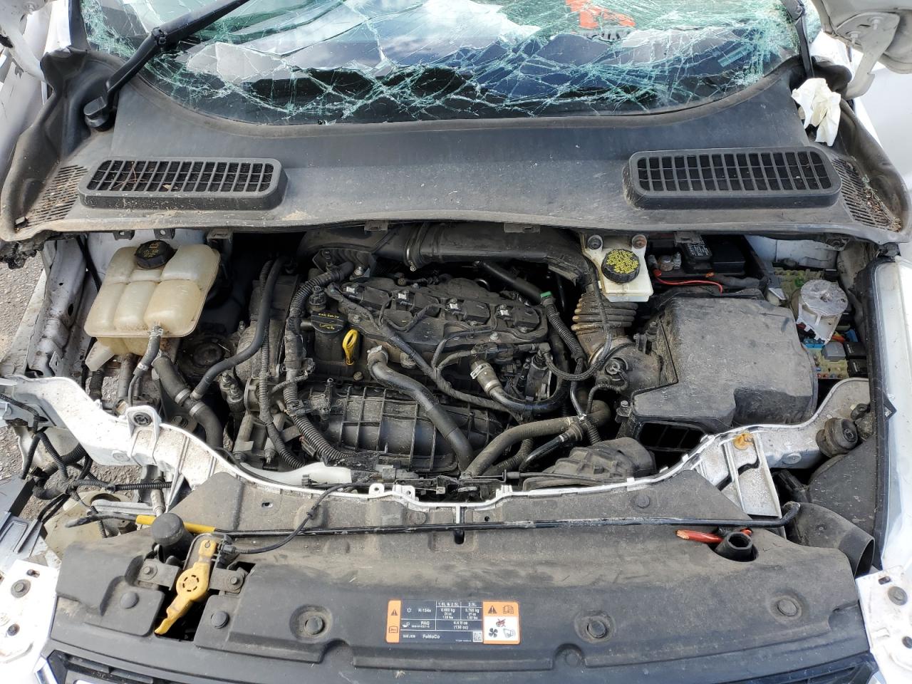 FORD ESCAPE TITANIUM