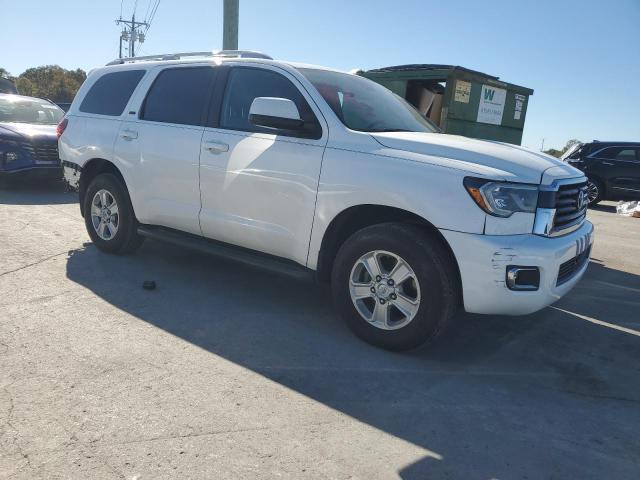 2019 TOYOTA SEQUOIA SR 5TDZY5G13KS072712