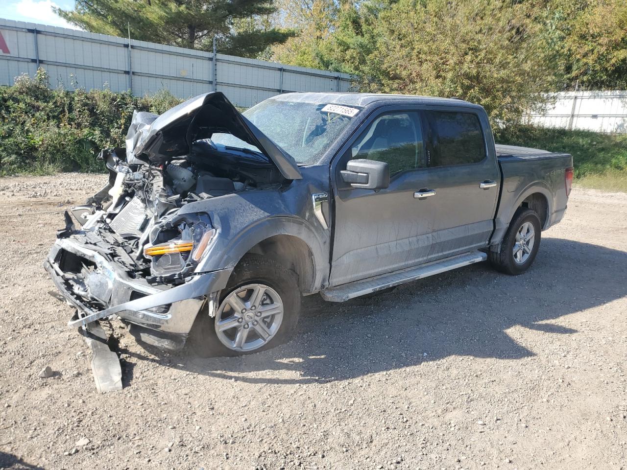Lot #3286592152 2024 FORD F150 XLT