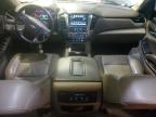 Lot #3305579113 2019 CHEVROLET TAHOE C150