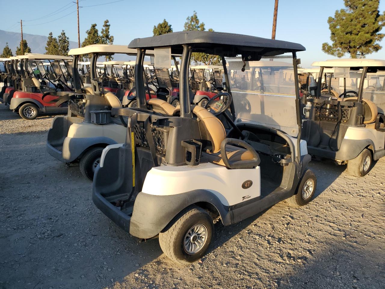 Lot #3262146600 2020 CLUB CAR TEMPO LITHIUM
