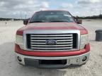Lot #3319066293 2011 FORD F150 SUPER