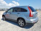 Lot #3303780426 2011 HONDA CR-V EX