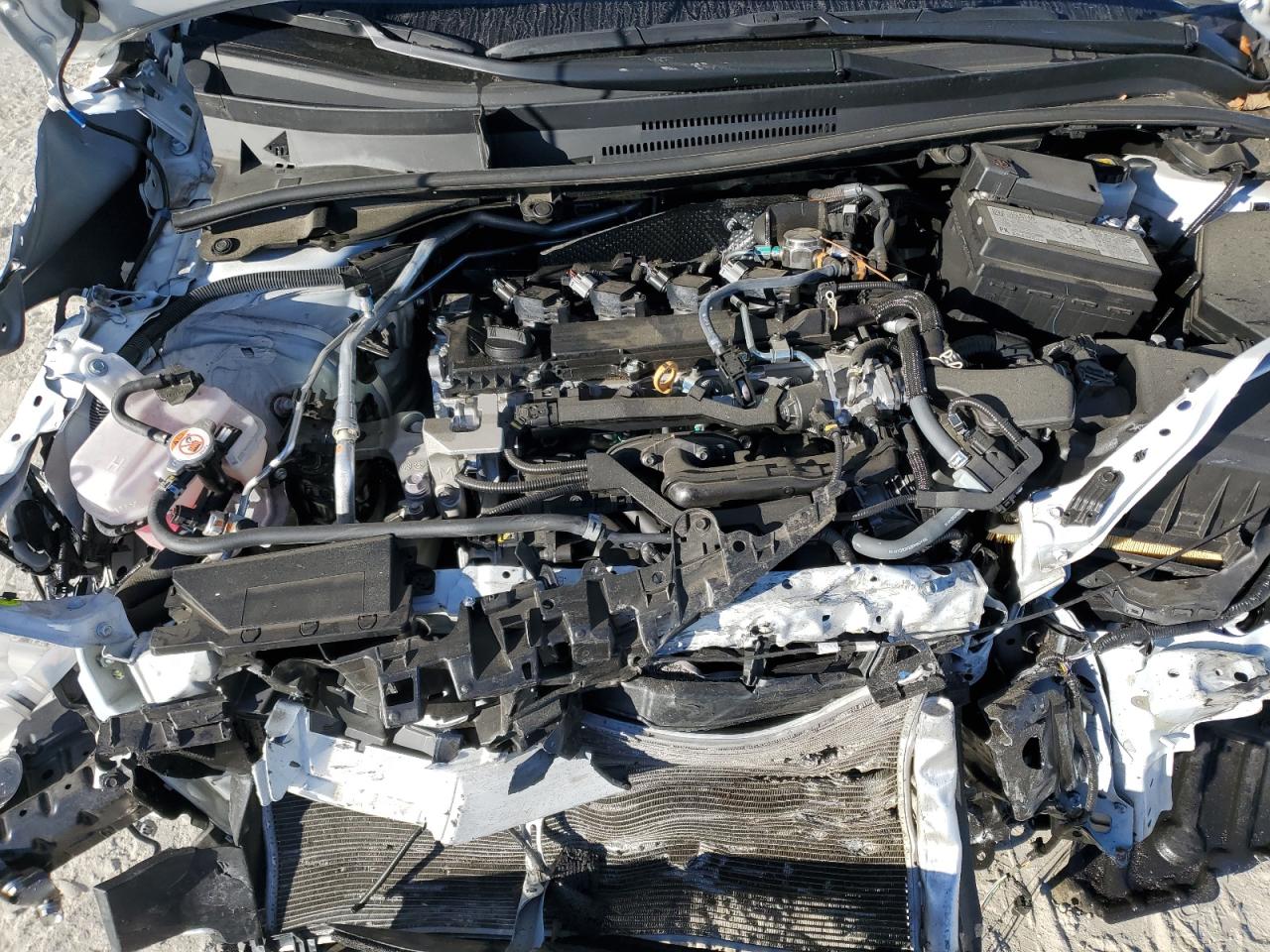 Lot #3302854888 2024 TOYOTA COROLLA LE