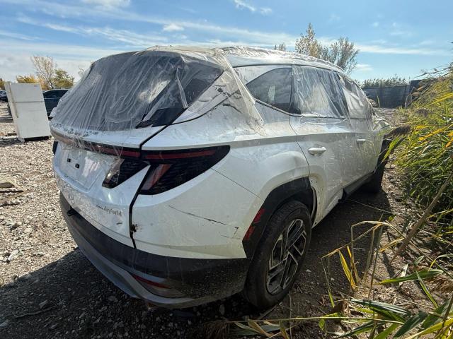 2025 HYUNDAI TUCSON SEL - KM8JCDD16SU287194