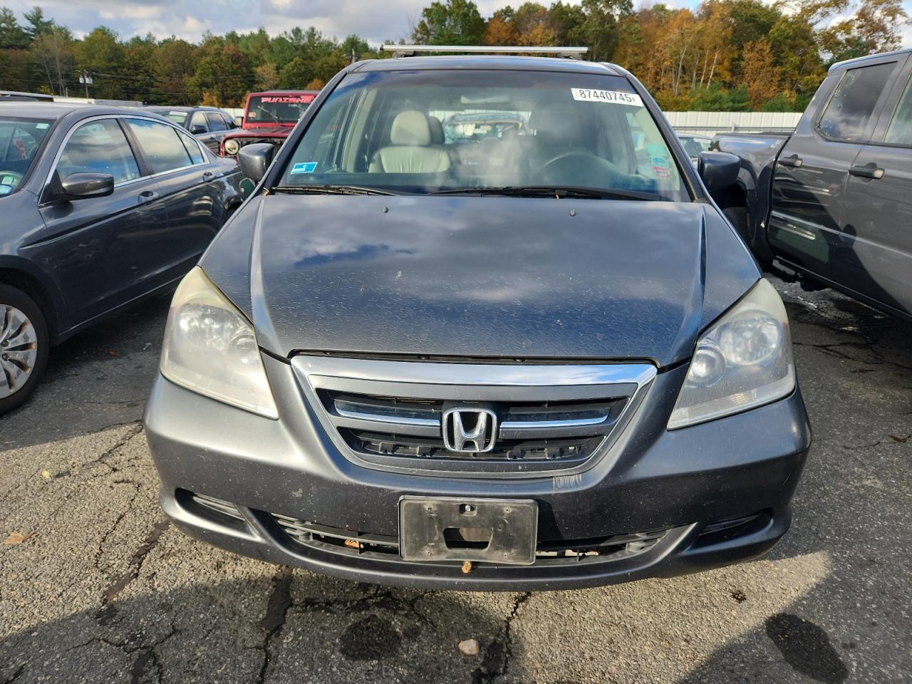 Global Auto Auctions