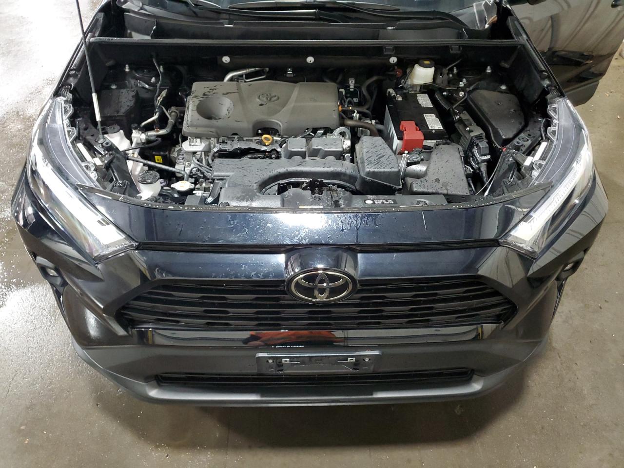 TOYOTA RAV4 XLE PREMIUM