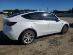 Lot #3301742351 2024 TESLA MODEL Y