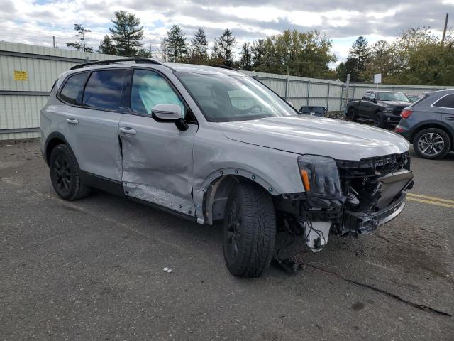 2025 KIA TELLURIDE #3301746356