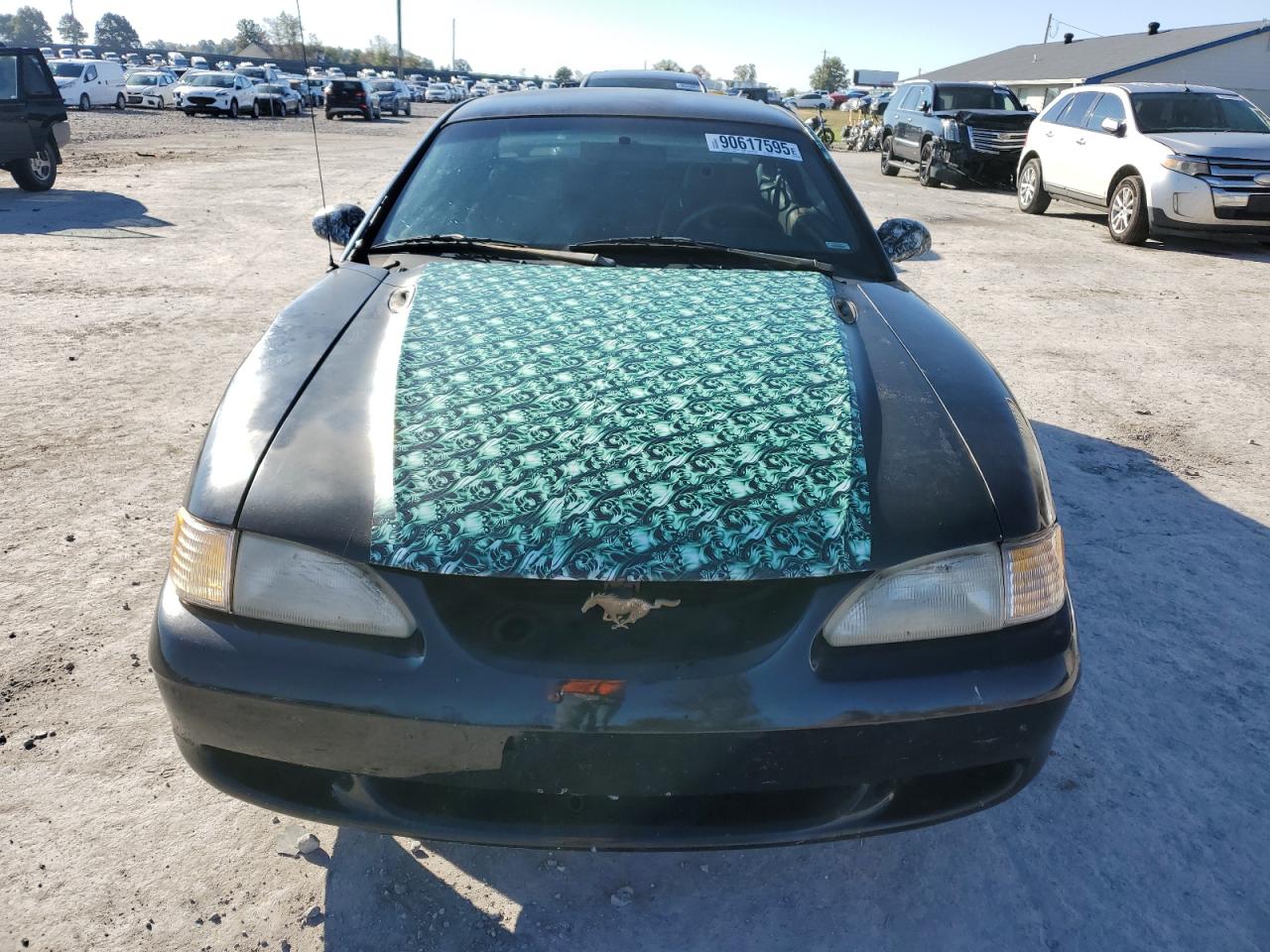 Lot #3290280244 1998 FORD MUSTANG