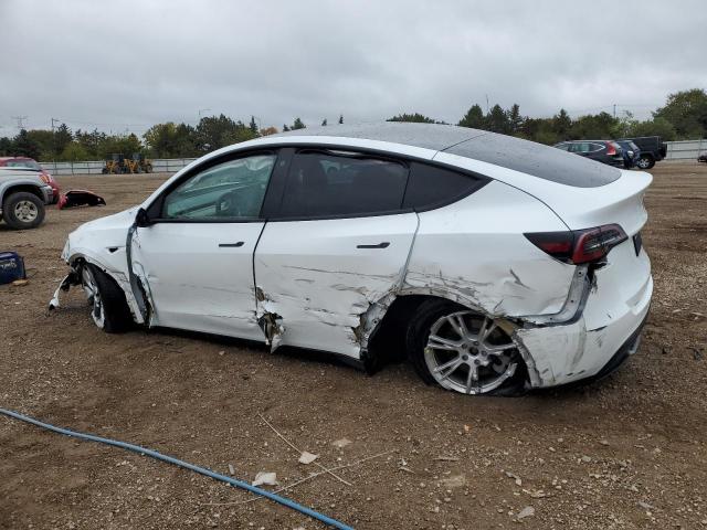 2023 TESLA MODEL Y #3284754531