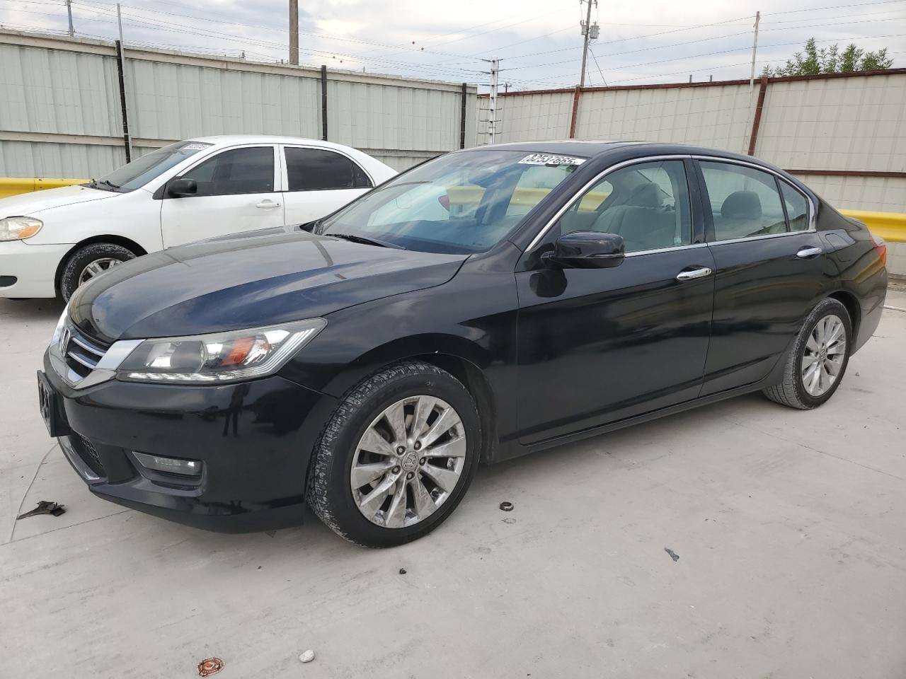HONDA ACCORD EXL