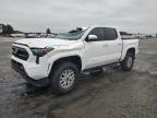 Lot #3296348125 2024 TOYOTA TACOMA DOU