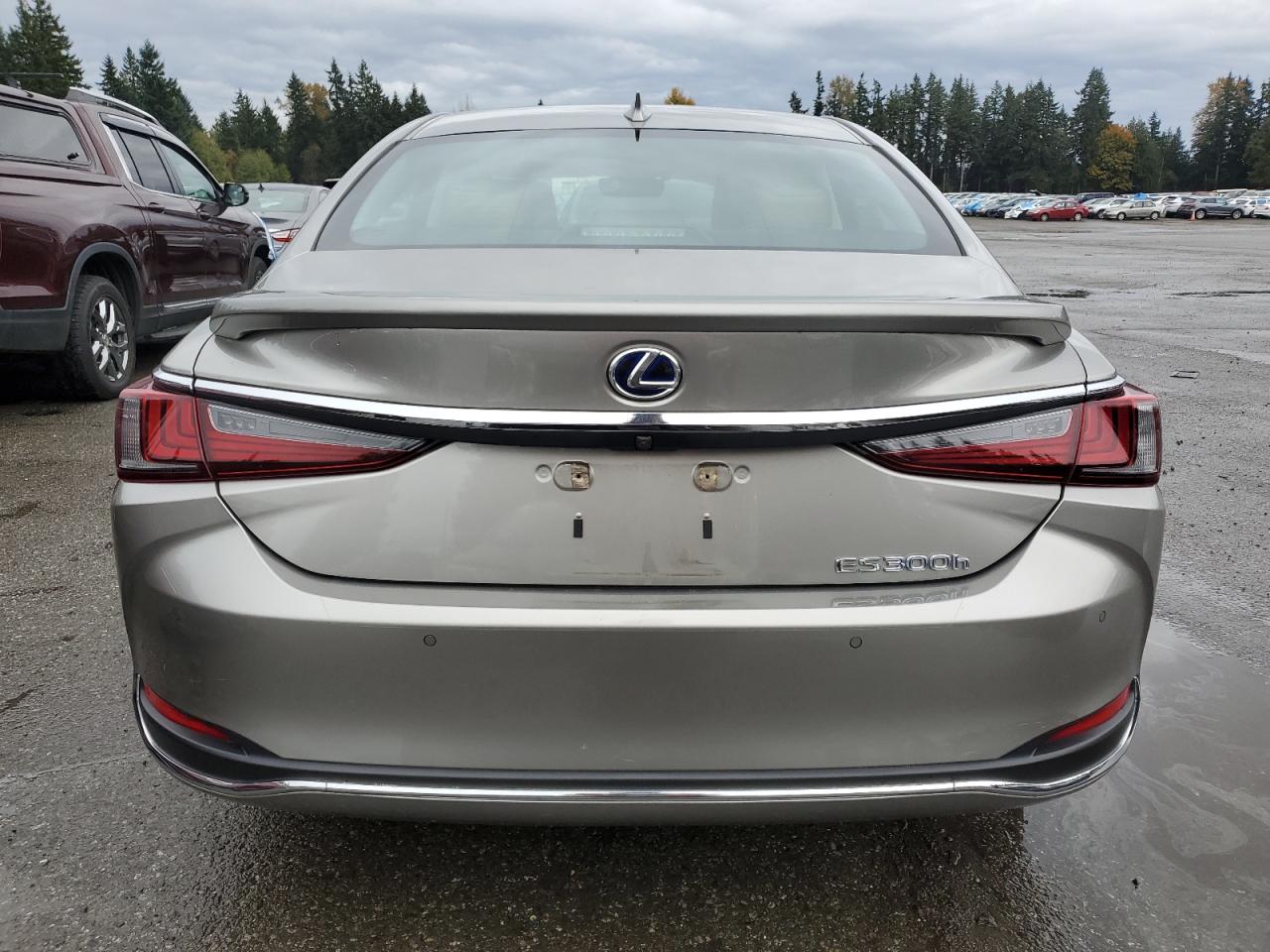 LEXUS ES 300H LUXURY