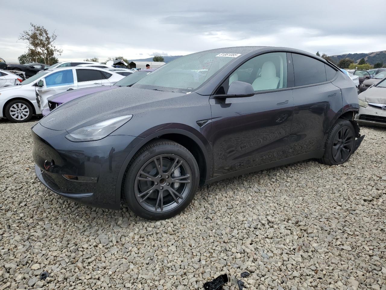 Lot #3298009191 2025 TESLA MODEL Y
