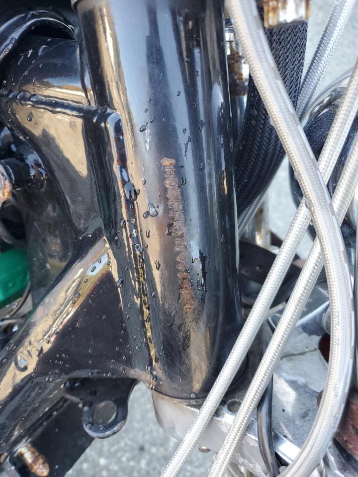 Lot #3269259079 1984 HARLEY-DAVIDSON XLX