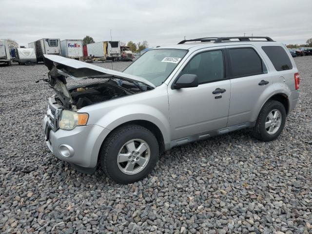 Global Auto Auctions: 2010 FORD ESCAPE XLT