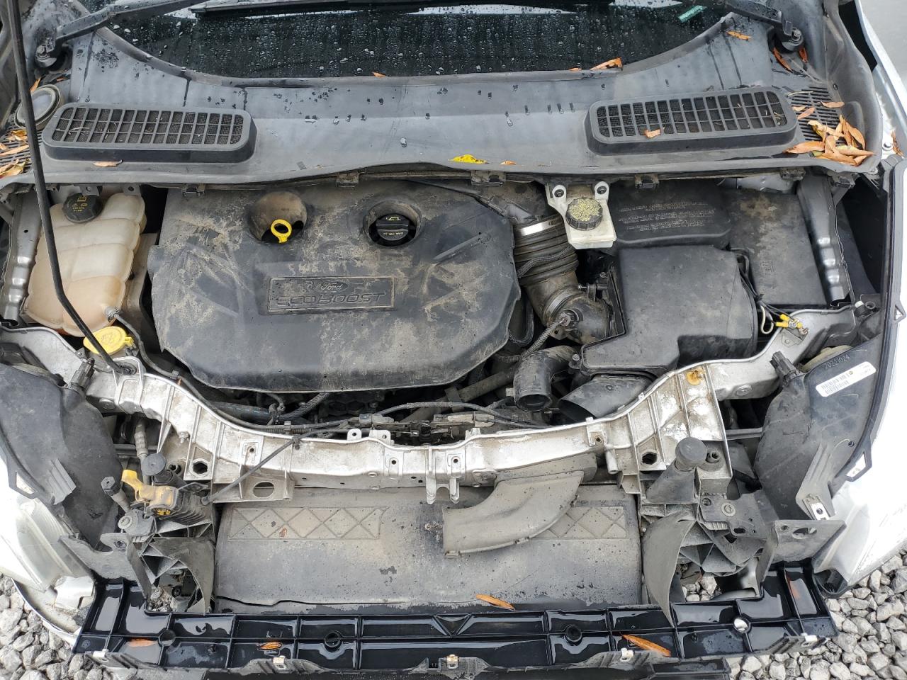 Lot #3301819341 2014 FORD ESCAPE SE