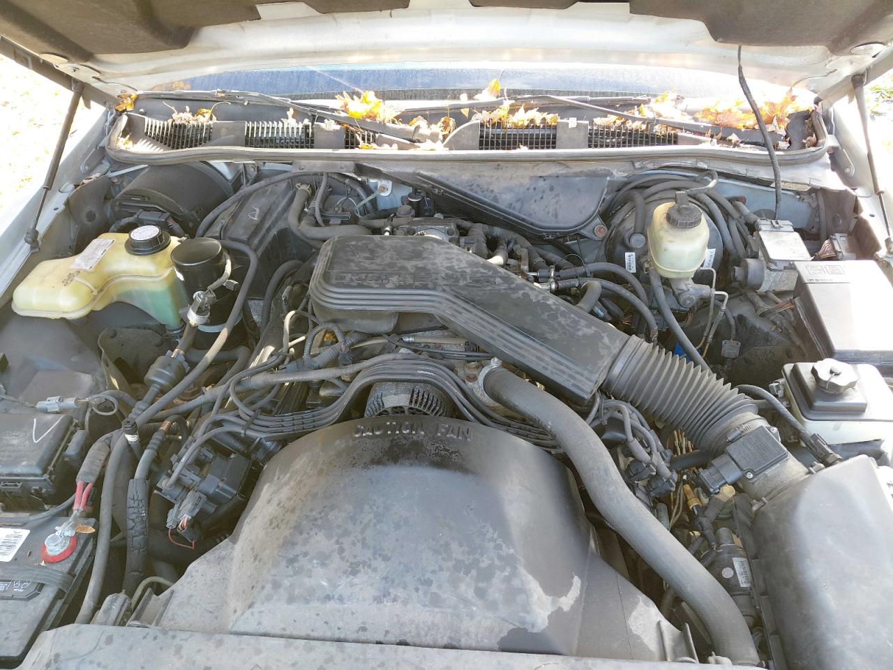 Lot #3276364728 1994 FORD CROWN VICT