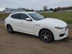 Lot #3301662630 2019 MASERATI LEVANTE LU