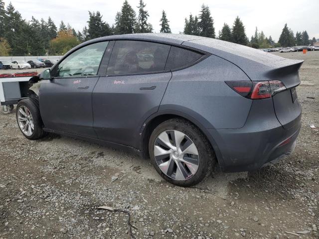 2023 TESLA MODEL Y 7SAYGDEEXPF855197