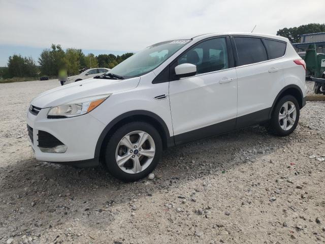 Global Auto Auctions: 2014 FORD ESCAPE SE