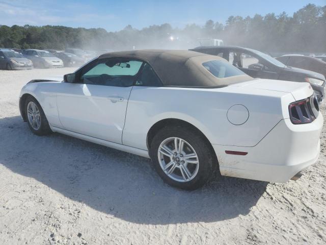 2013 FORD MUSTANG - 1ZVBP8EMXD5205085