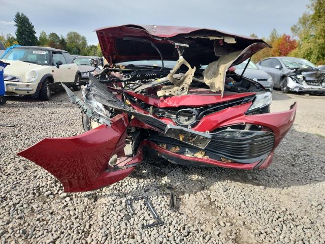 2019 TOYOTA CAMRY LE - 4T1B31HK9KU510978