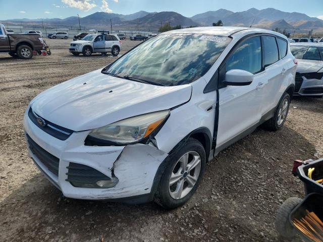 Global Auto Auctions: 2013 FORD ESCAPE SE