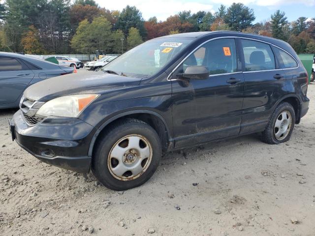 2010 HONDA CR-V LX - 5J6RE4H33AL065918