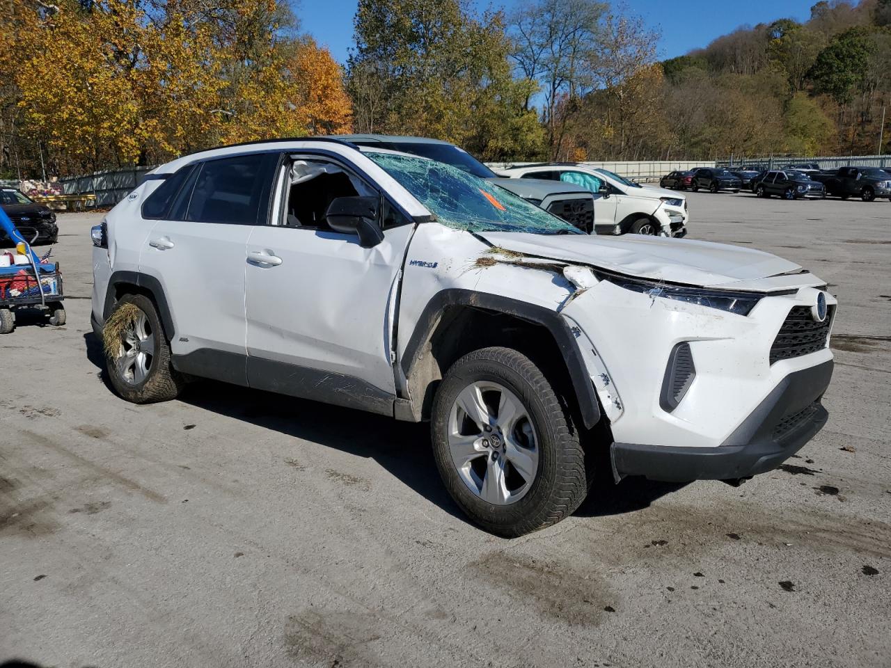 TOYOTA RAV4 LE