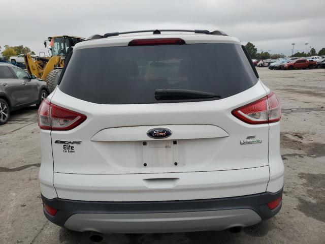 2013 FORD ESCAPE SE - 1FMCU0GX9DUD79515