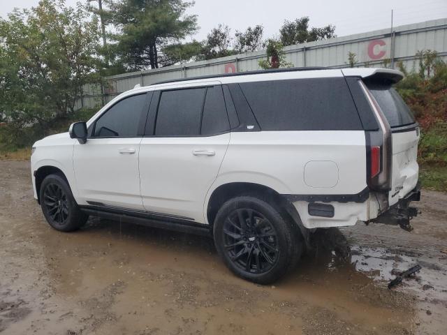 2024 CADILLAC ESCALADE S 1GYS4GKL5RR132235