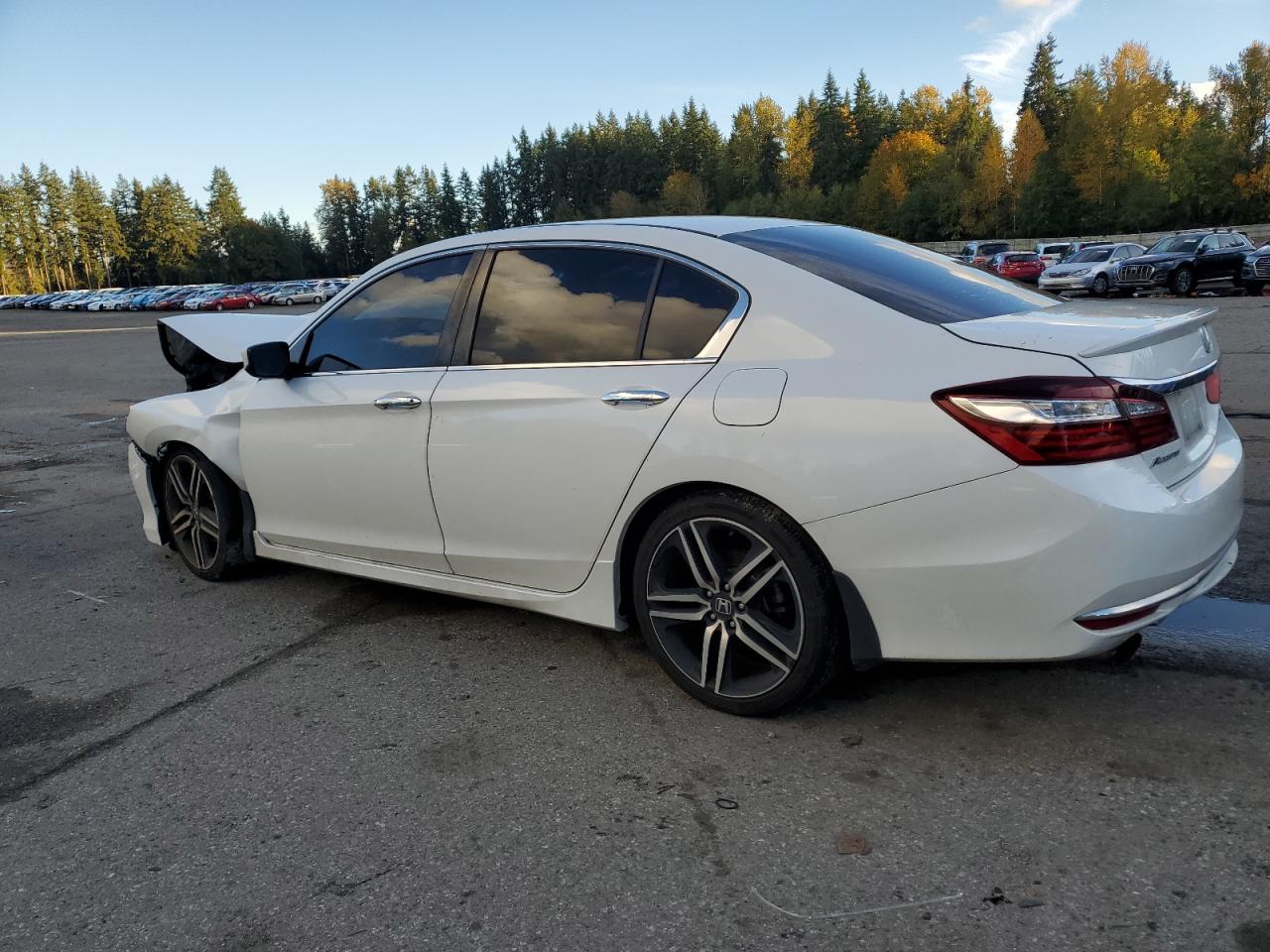 HONDA ACCORD SPORT SPECIAL EDITION