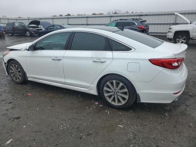 2016 HYUNDAI SONATA SPO - 5NPE34AF7GH383424