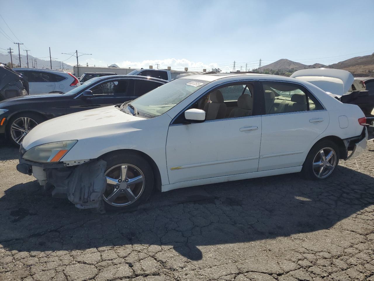 Lot #3285845593 2004 HONDA ACCORD EX