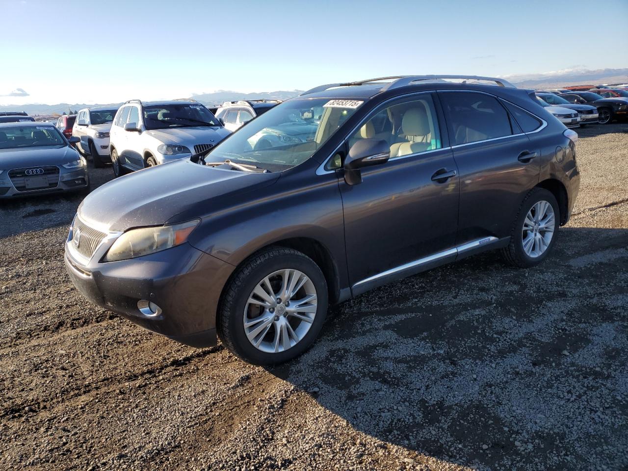 Vehicle photo