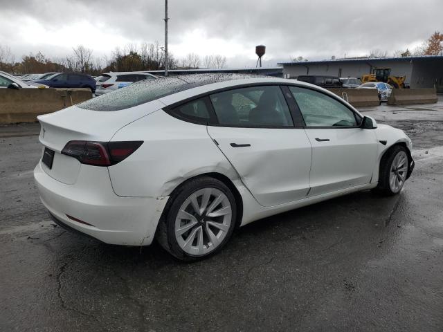 2023 TESLA MODEL 3 #3315884085