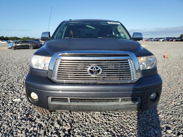 2010 TOYOTA TUNDRA CRE - 5TFFY5F16AX089467