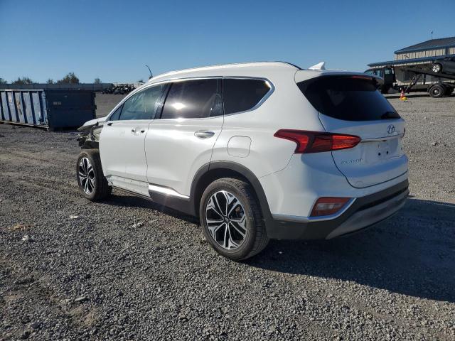 2019 HYUNDAI SANTA FE L - 5NMS53AA3KH043169