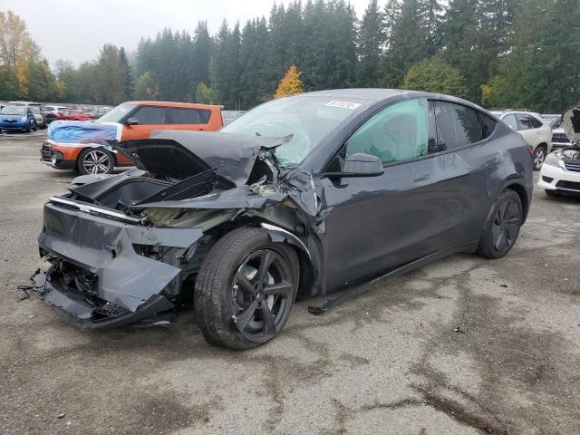 2026 TESLA MODEL Y #3316066218