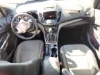 Lot #3316919075 2014 FORD ESCAPE SE
